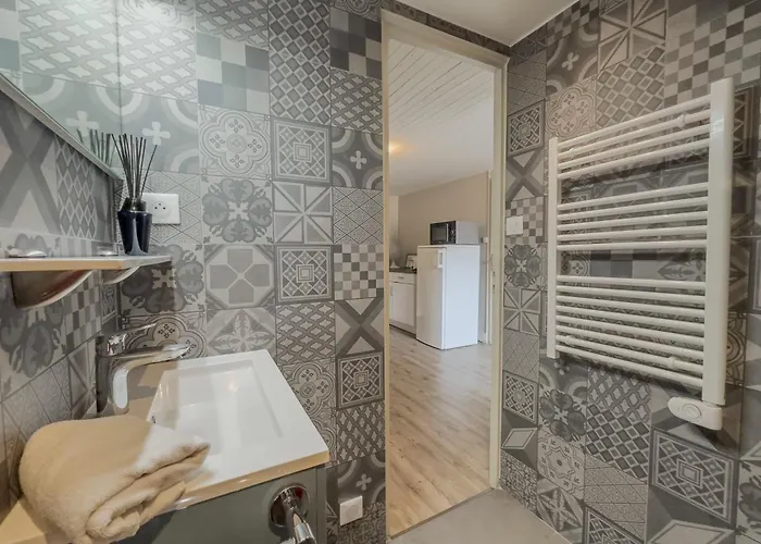 דירה #hy Le Petit Metz Center גרנובל