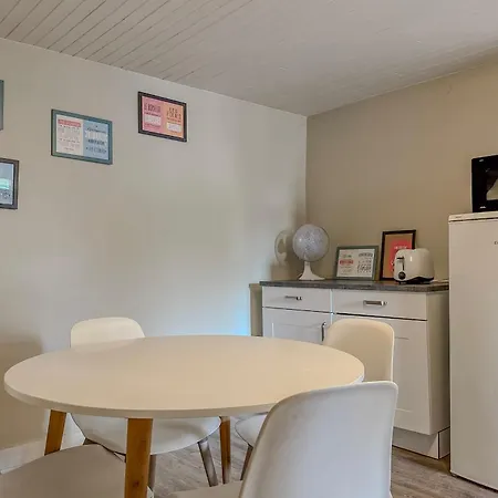 #hy Le Petit Metz Center Apartment Grenoble