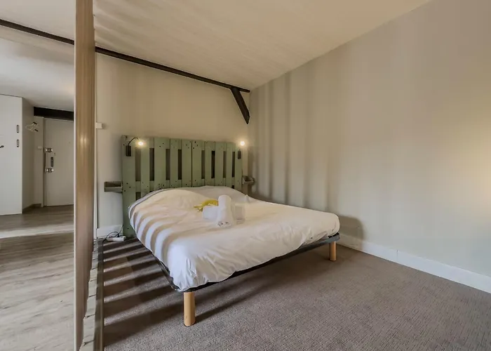 Apartment #hy Le Petit Metz Center Grenoble